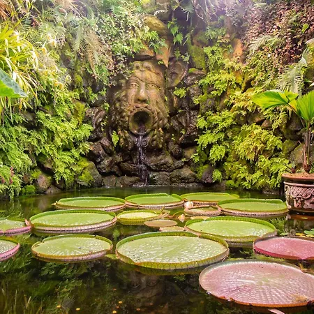 شقة Dimora Vico Secondo - Charme Retreat-forio